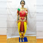 Green, Red and Yellow Readymade Bharatanatyam Costume