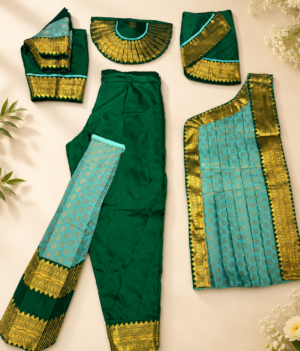 Light Green with Dark Green Readymade Bharatanatyam Costume wear